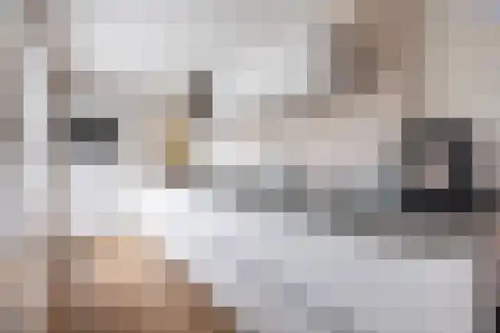 Joke Smitlanden 78 Enschede thumbnail 11