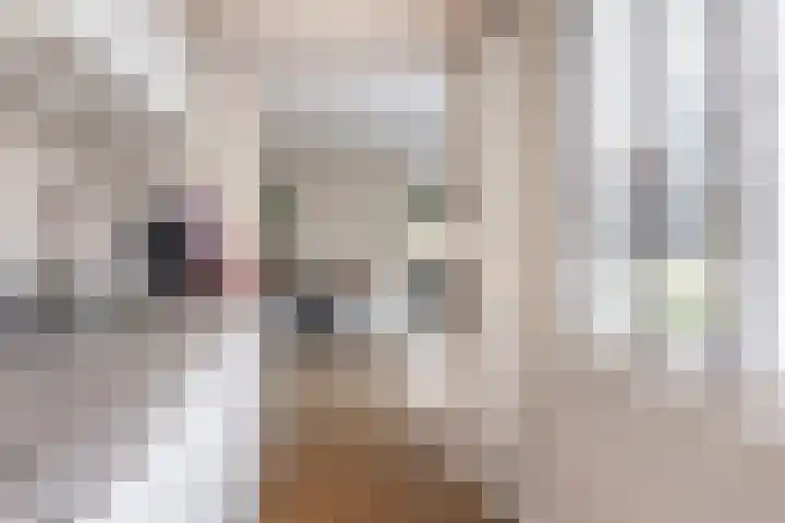 Joke Smitlanden 78 Enschede thumbnail 13