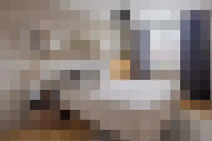 Joke Smitlanden 78 Enschede thumbnail 16