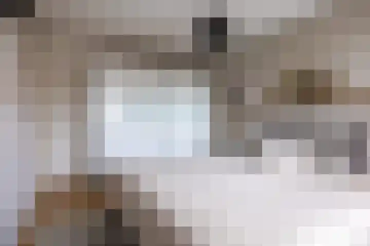 Joke Smitlanden 78 Enschede thumbnail 17