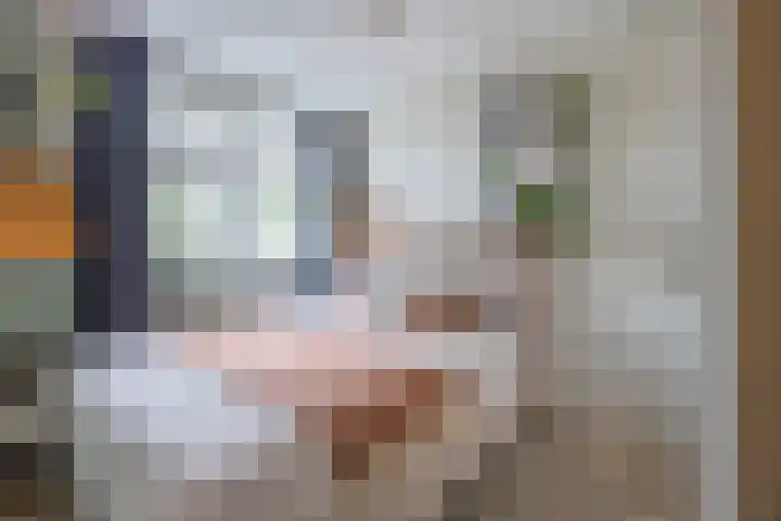 Joke Smitlanden 78 Enschede thumbnail 18