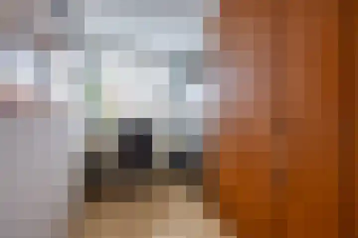 Joke Smitlanden 78 Enschede thumbnail 20