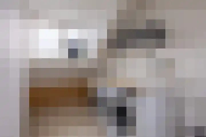 Joke Smitlanden 78 Enschede thumbnail 26