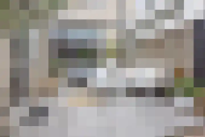 Joke Smitlanden 78 Enschede thumbnail 27
