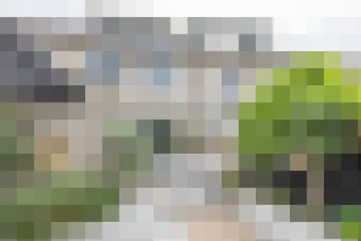 Joke Smitlanden 78 Enschede thumbnail 28