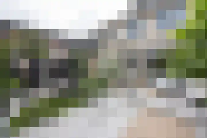 Joke Smitlanden 78 Enschede thumbnail 29