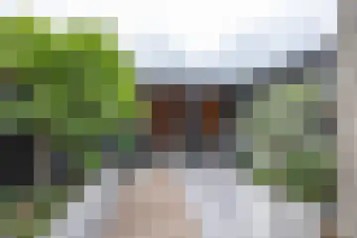 Joke Smitlanden 78 Enschede thumbnail 30