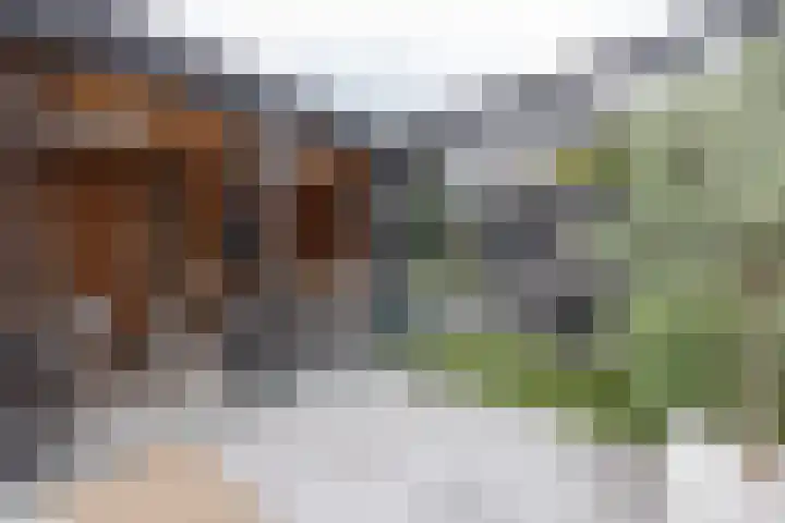 Joke Smitlanden 78 Enschede thumbnail 31