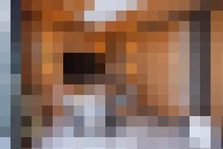 Joke Smitlanden 78 Enschede thumbnail 32