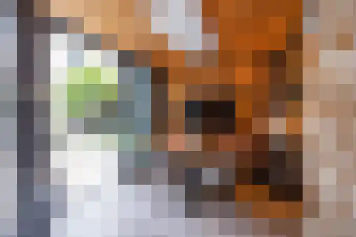 Joke Smitlanden 78 Enschede thumbnail 33