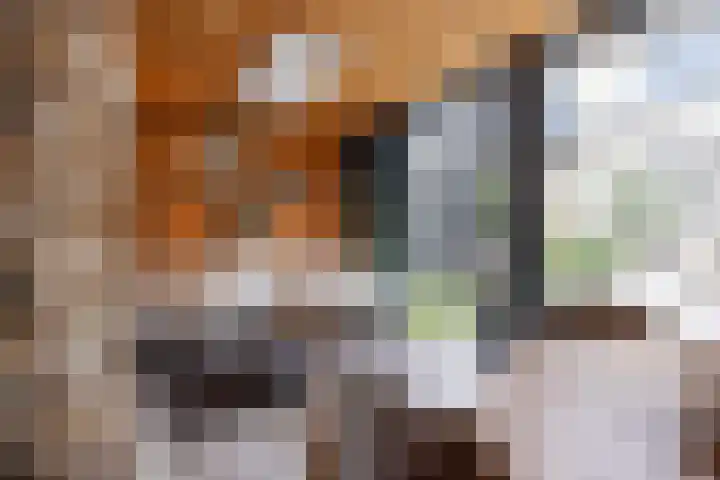 Joke Smitlanden 78 Enschede thumbnail 34