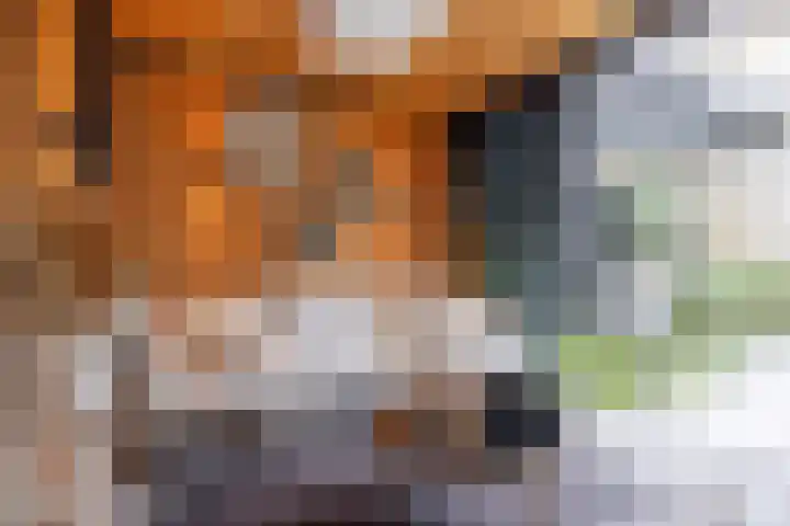 Joke Smitlanden 78 Enschede thumbnail 35