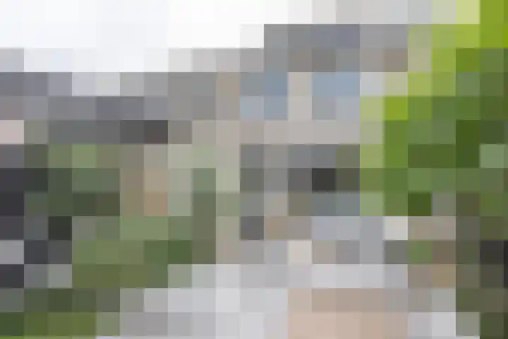 Joke Smitlanden 78 Enschede thumbnail 37