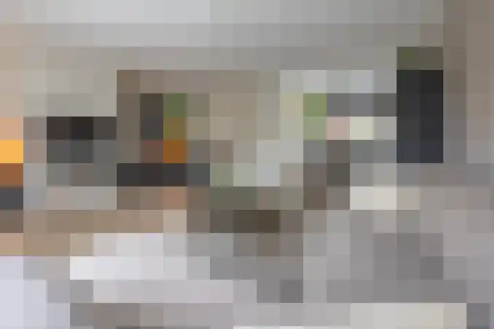 Joke Smitlanden 78 Enschede thumbnail 6