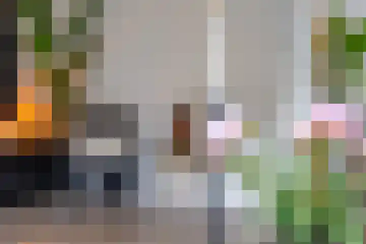 Joke Smitlanden 78 Enschede thumbnail 7