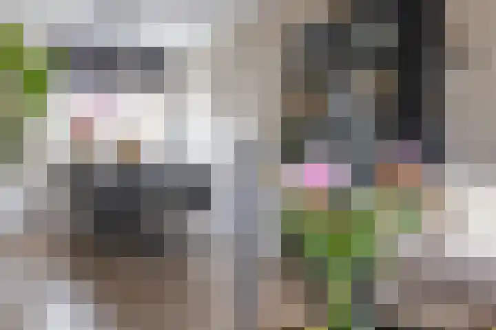 Joke Smitlanden 78 Enschede thumbnail 8