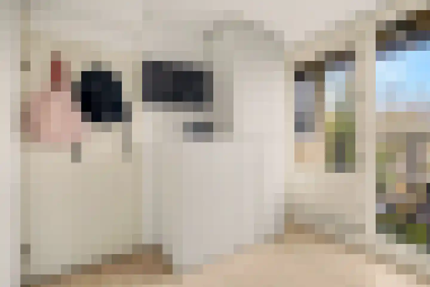 Joke Smitplein 11 Utrecht thumbnail 16