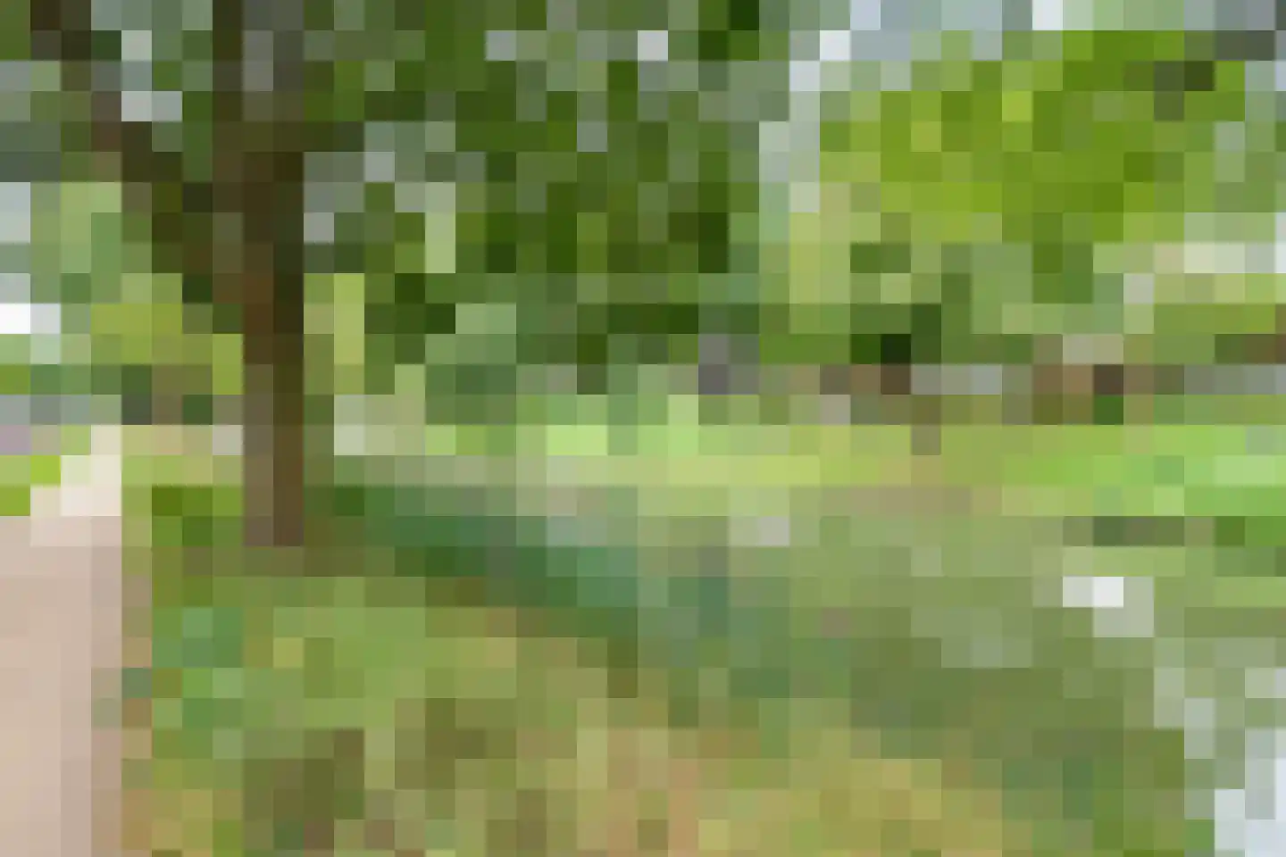 Joke Smitplein 12 Utrecht thumbnail 37