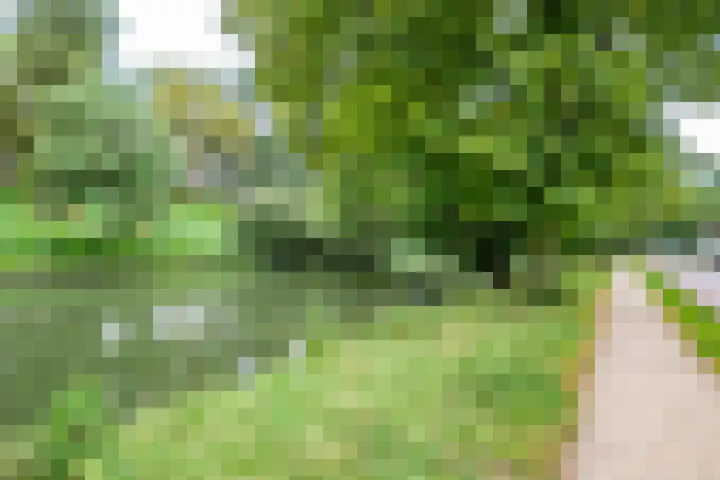 Joke Smitplein 12 Utrecht thumbnail 38