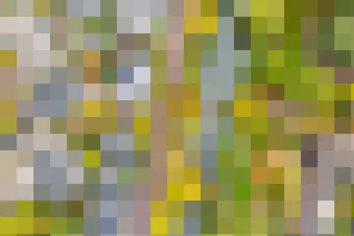 Joke Smitplein 23 Utrecht thumbnail 26