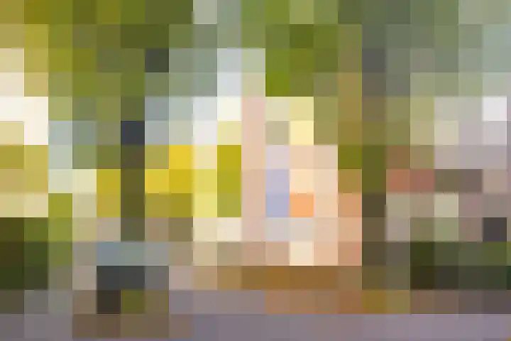 Joke Smitplein 23 Utrecht thumbnail 28