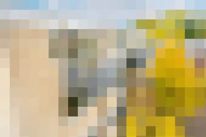 Joke Smitplein 23 Utrecht thumbnail 6