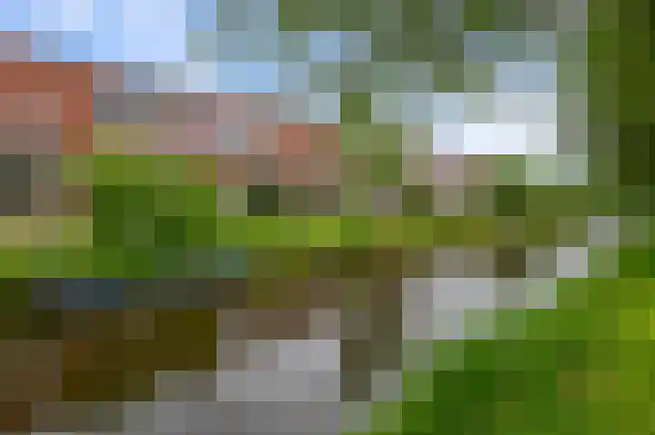 Joke Smitsingel 9 Assendelft thumbnail 25