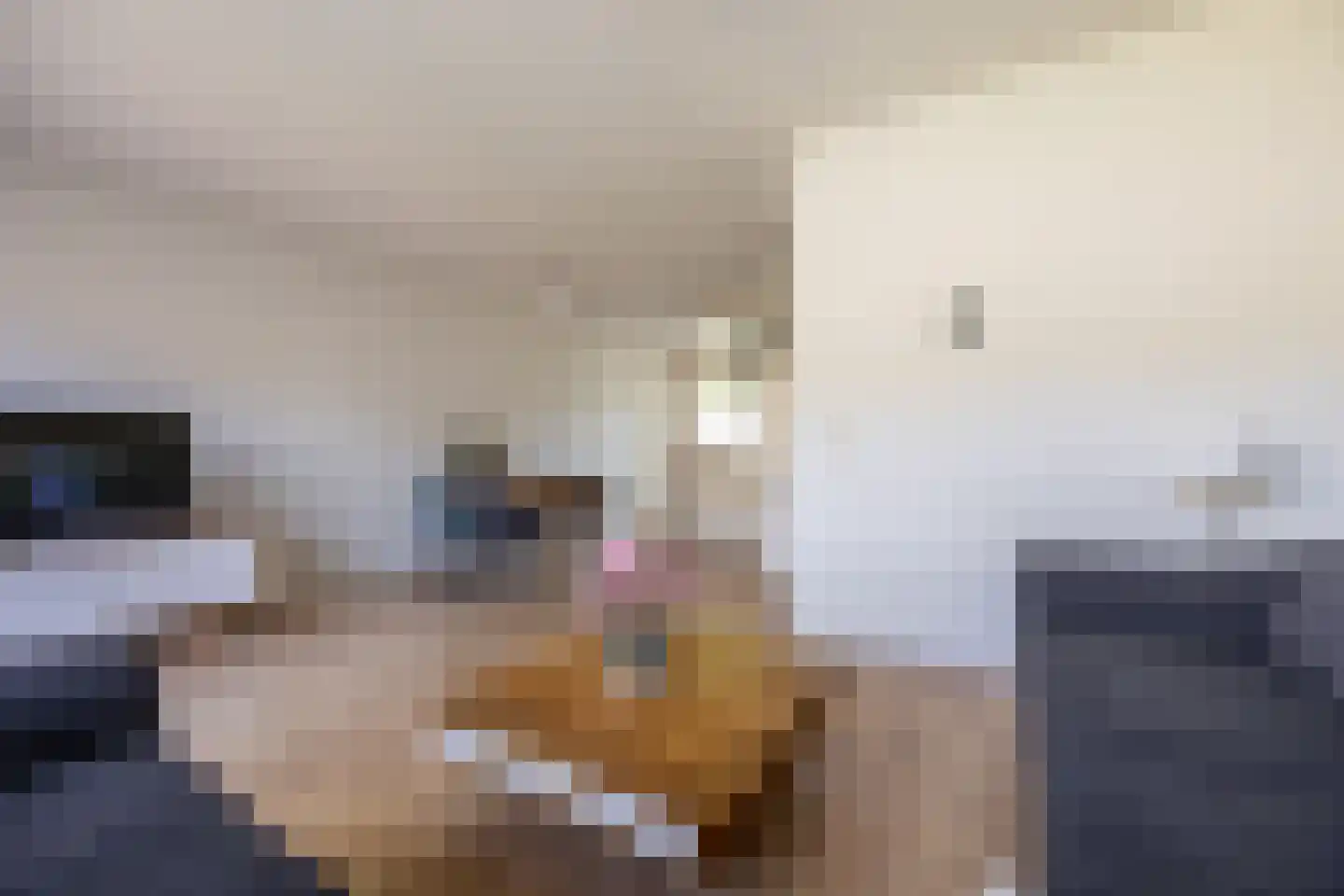 Joke Smitstraat 10 Hoofddorp thumbnail 13