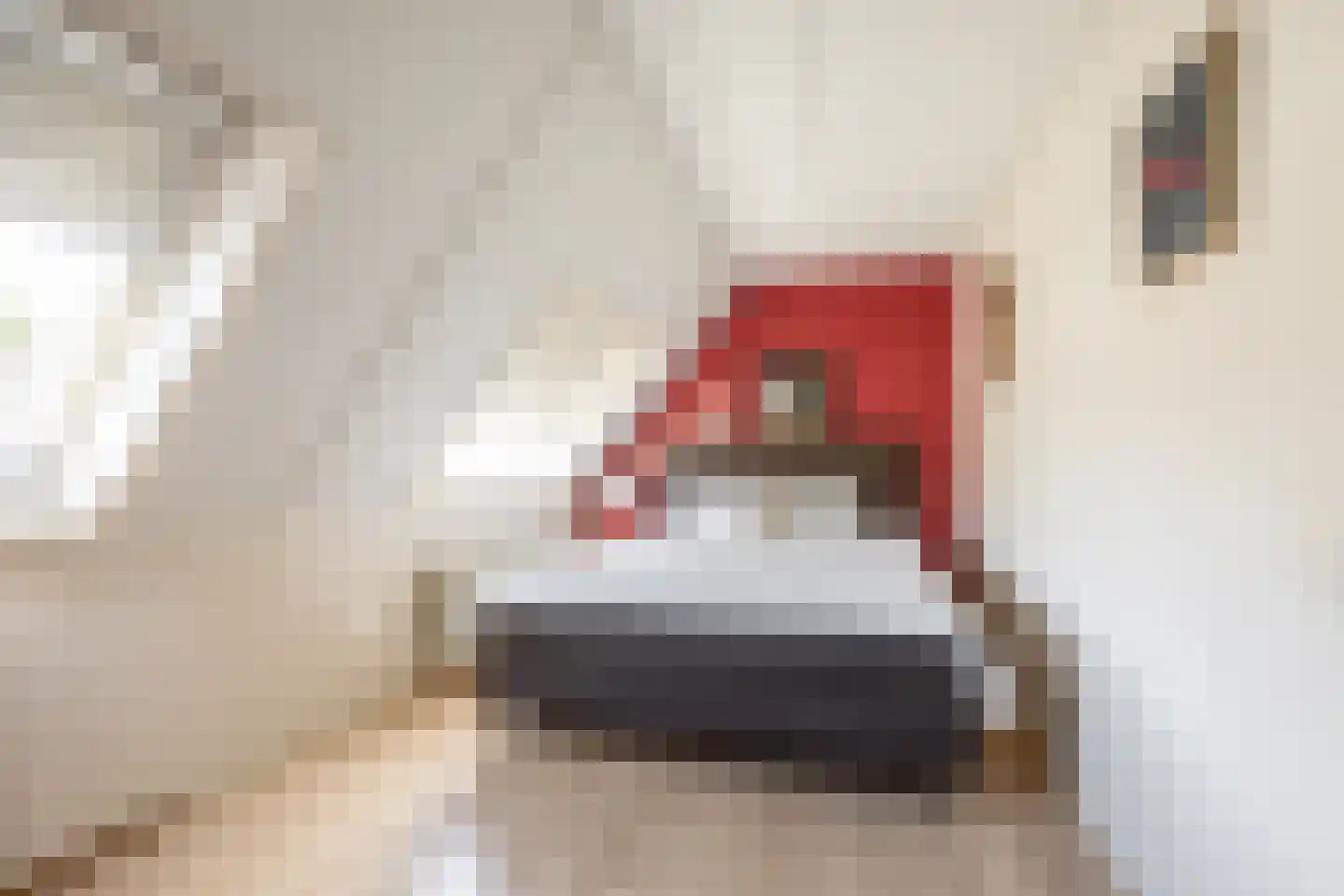Joke Smitstraat 10 Hoofddorp thumbnail 18