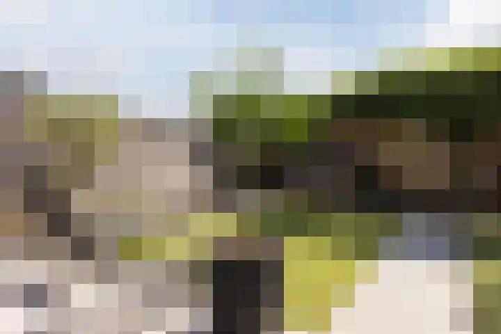 Joke Smitstraat 10 Rijen thumbnail 13