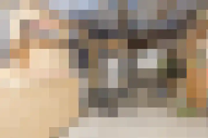 Joke Smitstraat 10 Rijen thumbnail 17