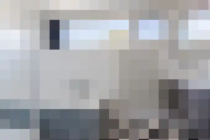 Joke Smitstraat 10 Rijen thumbnail 21