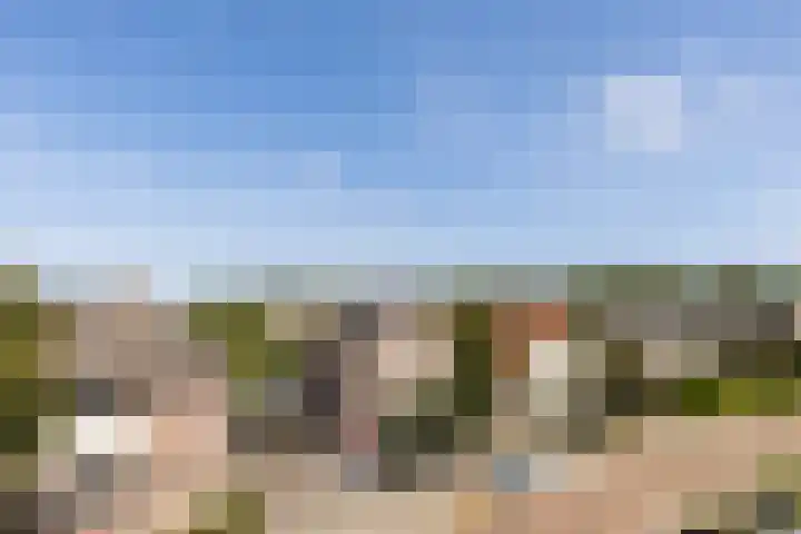 Joke Smitstraat 10 Rijen thumbnail 33