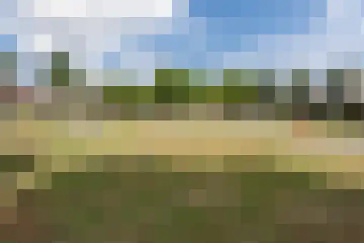 Joke Smitstraat 10 Rijen thumbnail 38