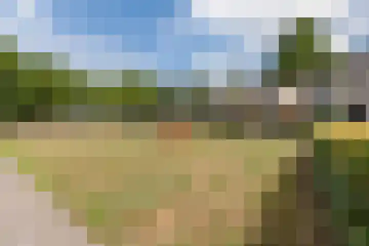 Joke Smitstraat 10 Rijen thumbnail 39