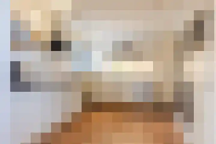Joke Smitstraat 10 Rijen thumbnail 4