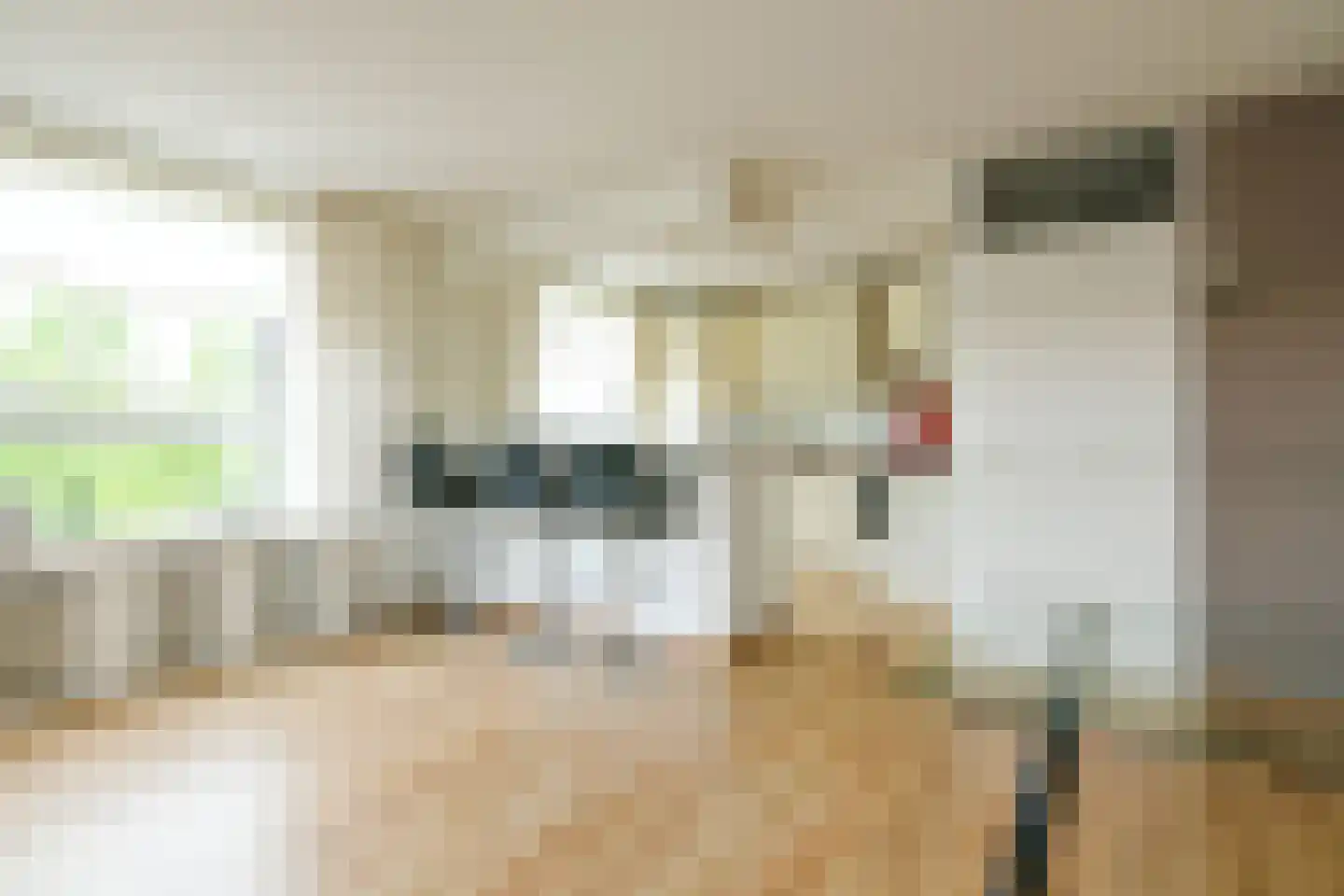 Joke Smitstraat 104 Hoofddorp thumbnail 5