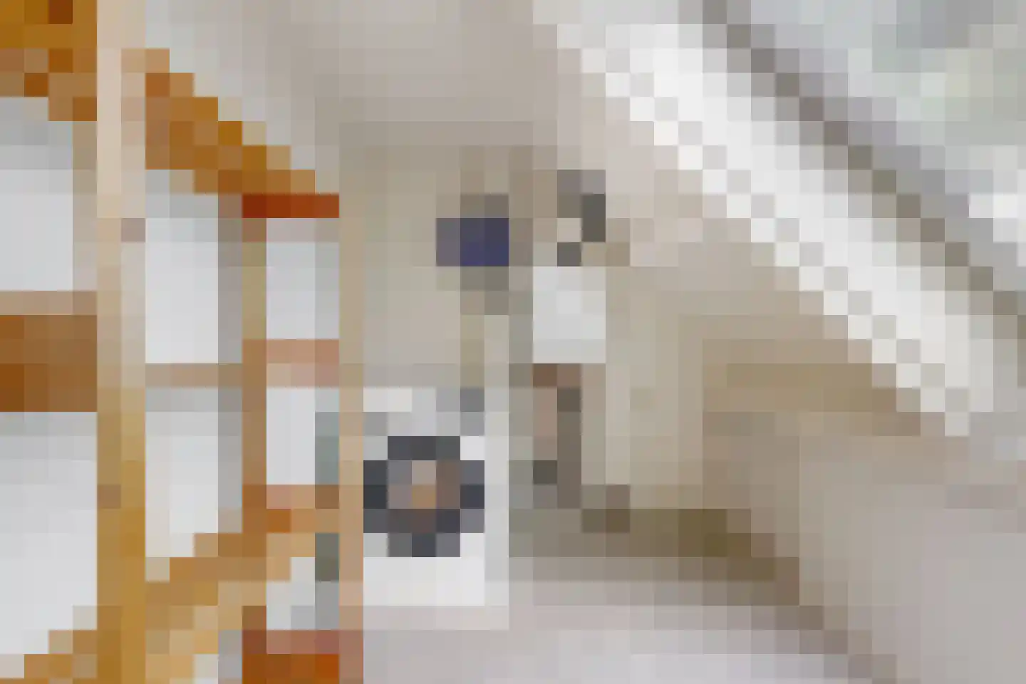 Joke Smitstraat 11 Alphen aan den Rijn thumbnail 17