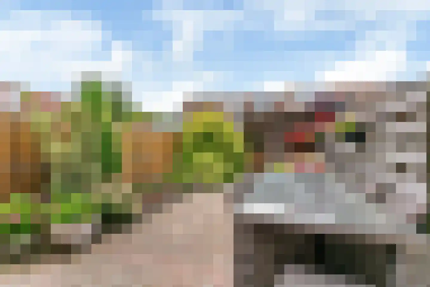 Joke Smitstraat 11 Alphen aan den Rijn thumbnail 18