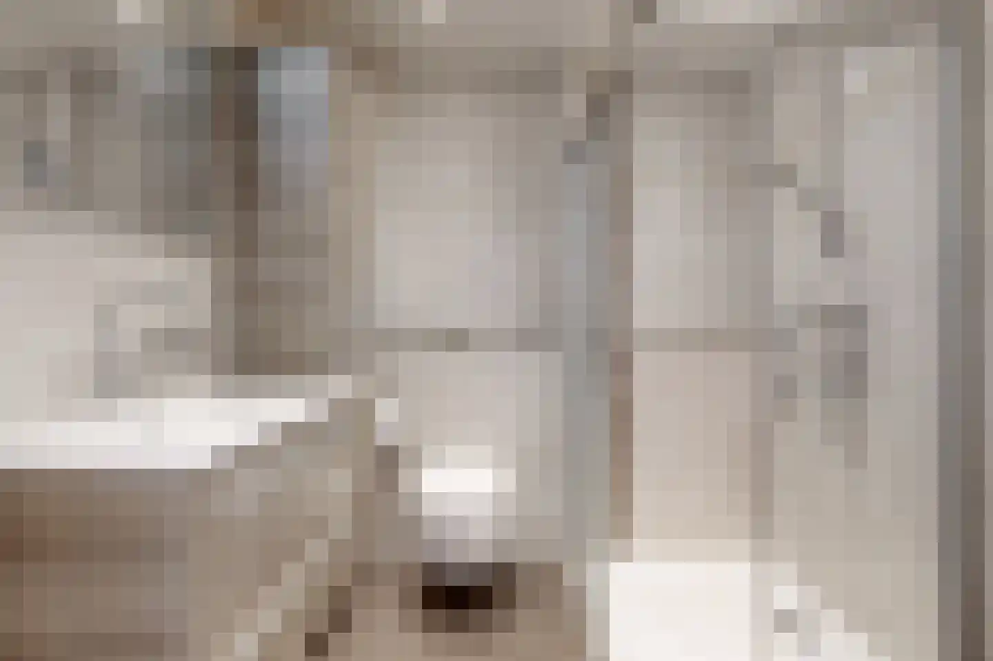 Joke Smitstraat 11 Alphen aan den Rijn thumbnail 4