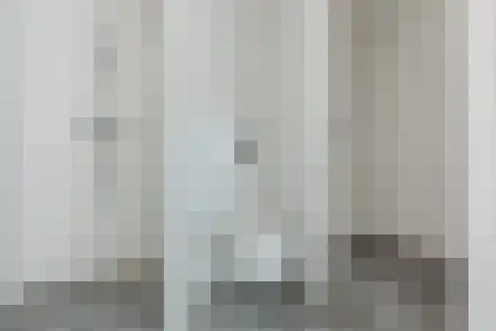 Joke Smitstraat 11 Breda thumbnail 16