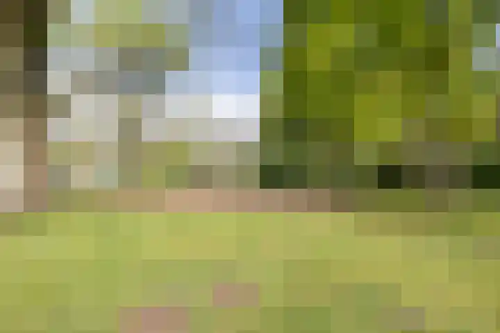 Joke Smitstraat 11 Breda thumbnail 37