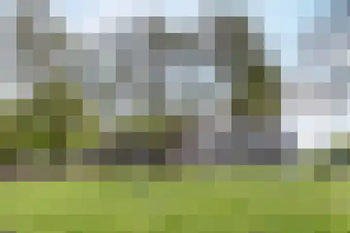 Joke Smitstraat 11 Breda thumbnail 38