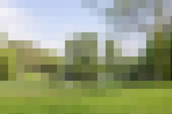 Joke Smitstraat 11 Breda thumbnail 39