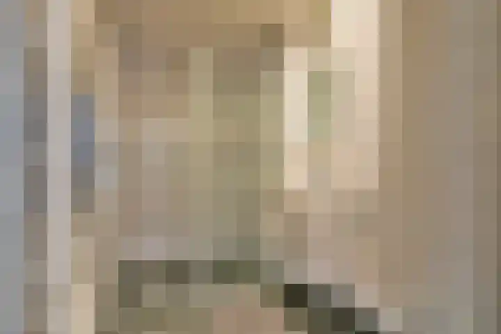 Joke Smitstraat 110 Hoofddorp thumbnail 22