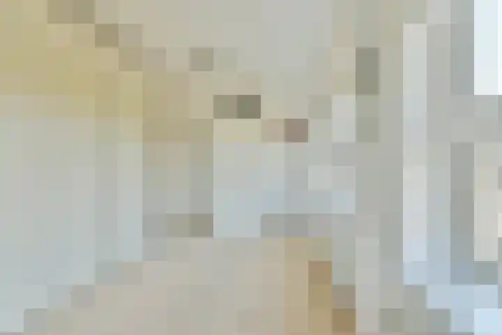 Joke Smitstraat 110 Hoofddorp thumbnail 25