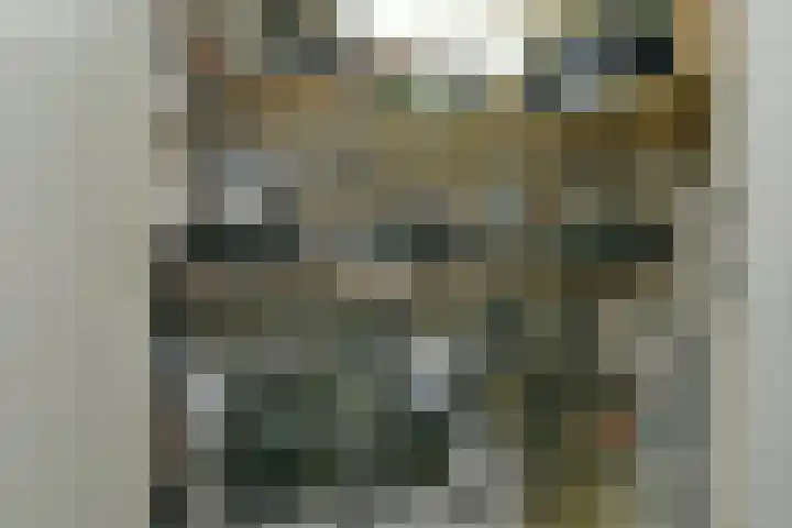 Joke Smitstraat 110 Hoofddorp thumbnail 31