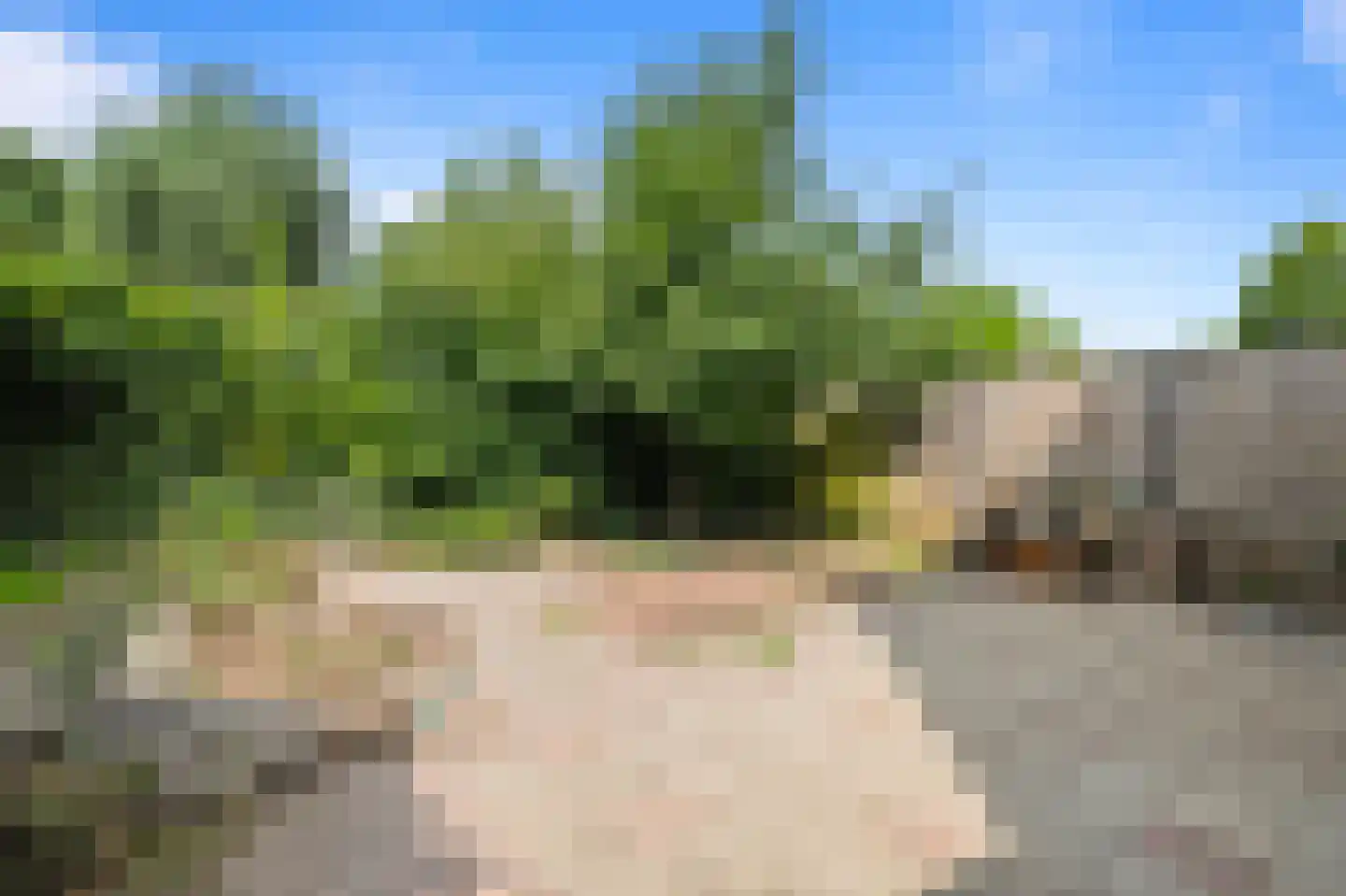 Joke Smitstraat 12 Tiel thumbnail 17
