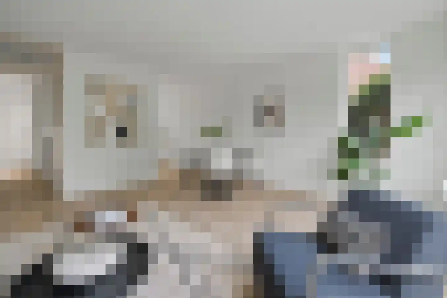 Joke Smitstraat 12 Tiel thumbnail 4