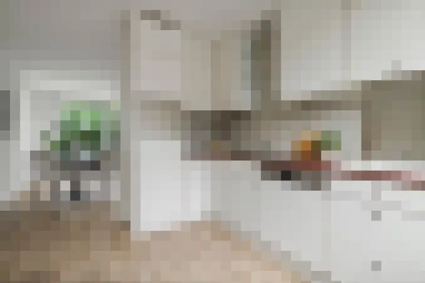 Joke Smitstraat 12 Tiel thumbnail 5